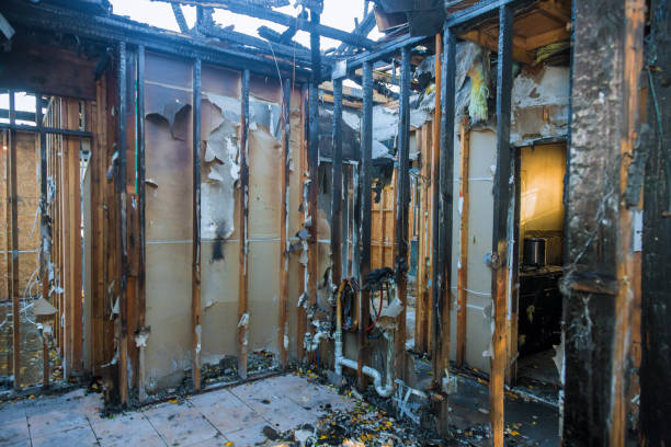 Professional Structural Rebuild technician working in Lauderdale, MN